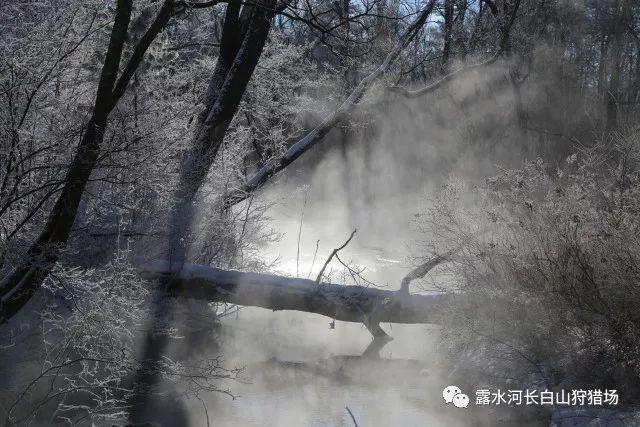 齐撑广州队!球迷涌入广州队带货直播间