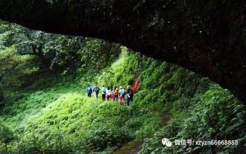 大金狮逃生