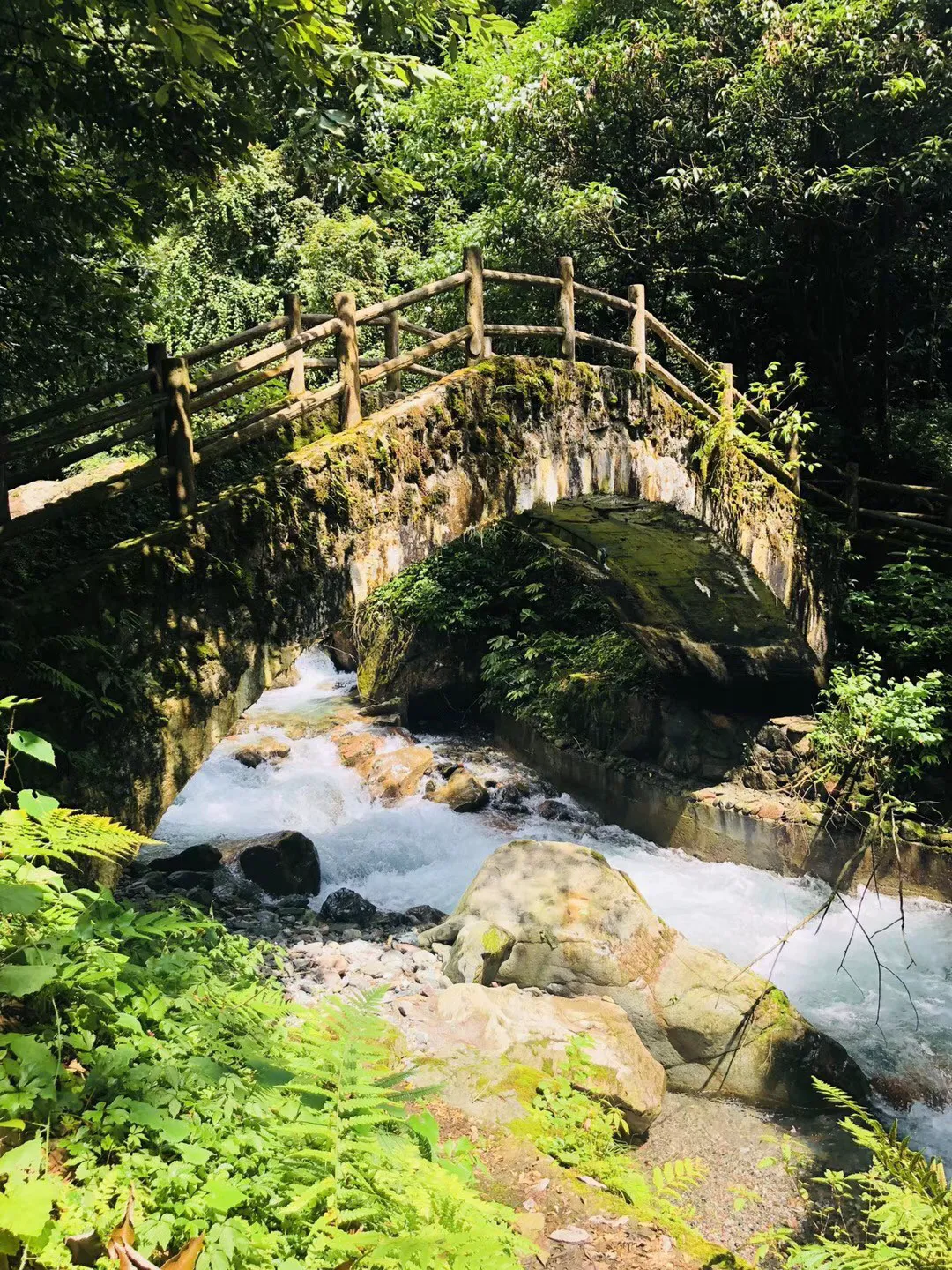 救援受困的狼人